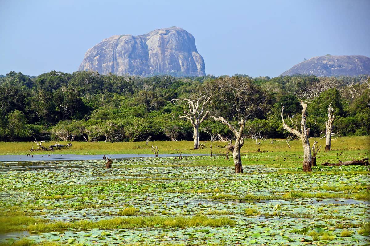 Yala National Park